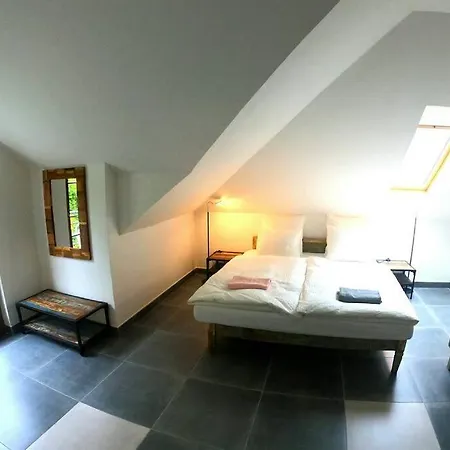 The Mountain Loft Klinovec - With Infrasauna Jachymov Exterior photo