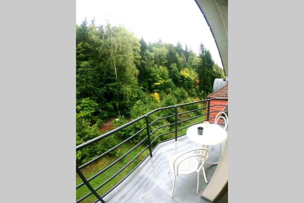 Apartment The Mountain Loft Klinovec - With Infrasauna *