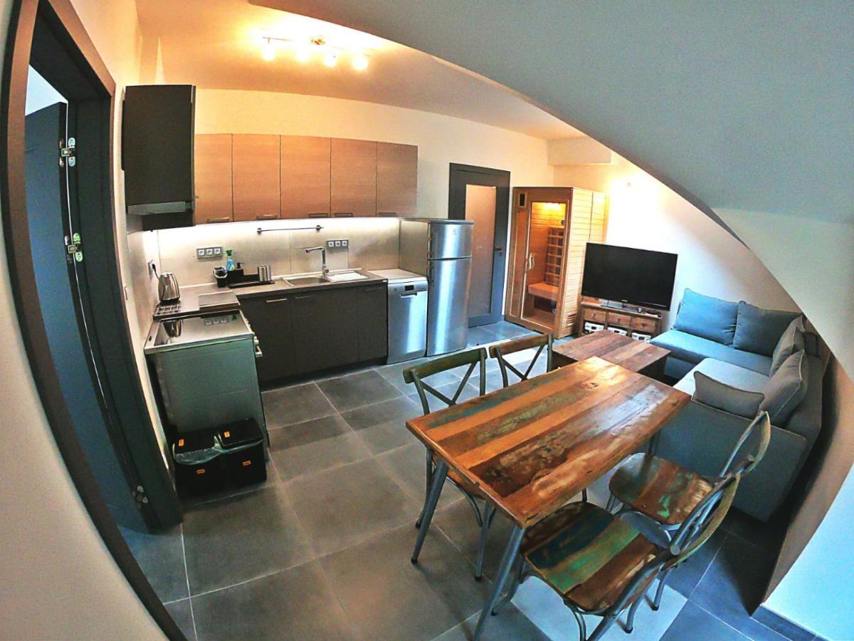 The Mountain Loft Klinovec - With Infrasauna Apartment *